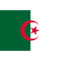 Flag of Algeria 