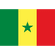 Flag of Senegal 