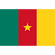 Flag of Cameroon 