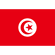 Flag of Tunisia 