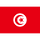 Flag of Tunisia 