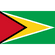 Flag of Guyana 