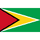 Flag of Guyana 